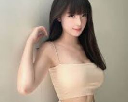 掌上资料导航